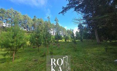 Terreno Campestre en venta en Las Vigas