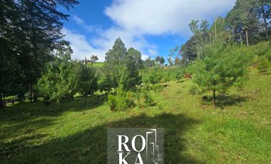 Terreno Campestre en venta en Las Vigas