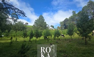 Terreno Campestre en venta en Las Vigas