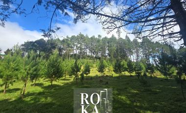 Terreno Campestre en venta en Las Vigas