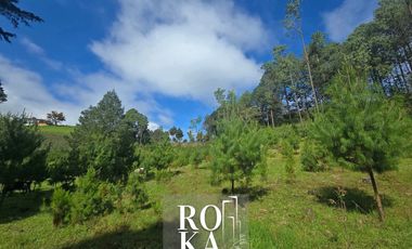 Terreno Campestre en venta en Las Vigas