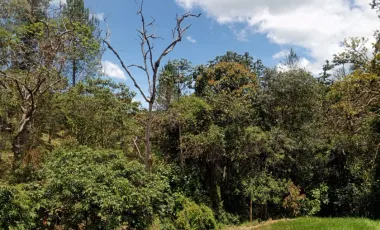 Villa en Arriendo en El Retiro