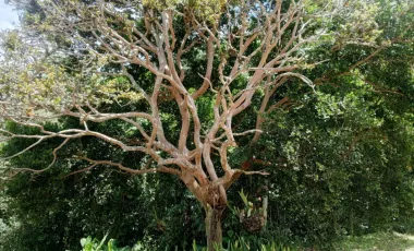 Villa en Arriendo en El Retiro