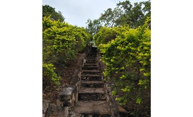 SIEB 207 Finca en venta, La Mesa.