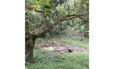SIEB 207 Finca en venta, La Mesa.