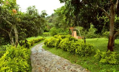 SIEB 207 Finca en venta, La Mesa.