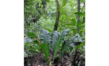 SIEB 207 Finca en venta, La Mesa.