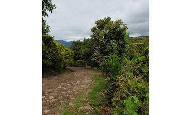 SIEB 207 Finca en venta, La Mesa.