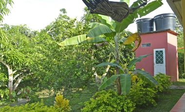 SIEB 207 Finca en venta, La Mesa.