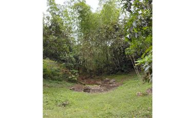 SIEB 207 Finca en venta, La Mesa.