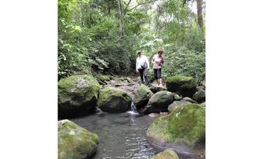 SIEB 207 Finca en venta, La Mesa.