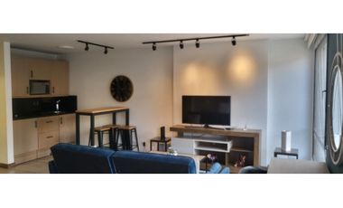 Arriendo apartamento amoblado en Chico