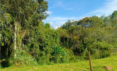 VENTA LOTE EN ALTO DE PALMAS