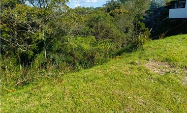 VENTA LOTE EN ALTO DE PALMAS