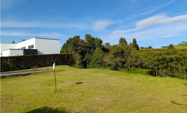 VENTA LOTE EN ALTO DE PALMAS