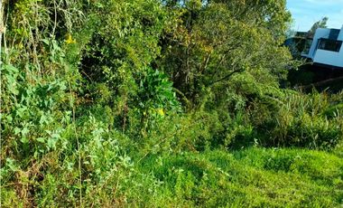 VENTA LOTE EN ALTO DE PALMAS