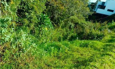 VENTA LOTE EN ALTO DE PALMAS