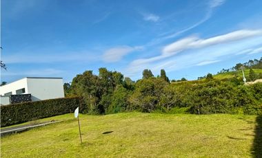 VENTA LOTE EN ALTO DE PALMAS