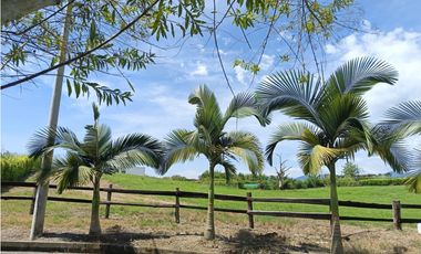 3835 LOTE EN VENTA SECTOR CERRITOS