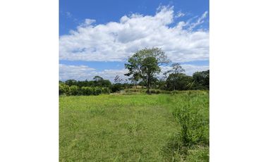 3835 LOTE EN VENTA SECTOR CERRITOS