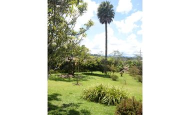 Finca en el sector de Carmen de Viboral