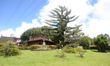 Finca en el sector de Carmen de Viboral