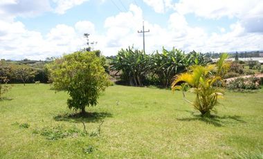 Finca en el sector de Carmen de Viboral