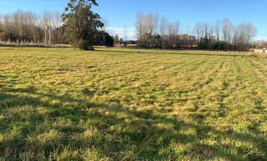 Parcela en venta en OSORNO
