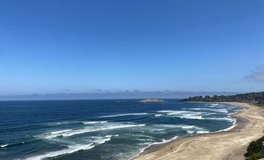 Arriendo marzo- diciembre en primera línea