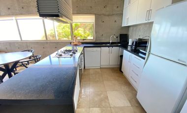 Arriendo marzo- diciembre en primera línea