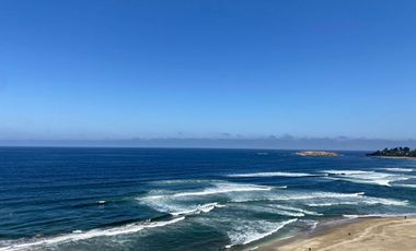 Arriendo marzo- diciembre en primera línea