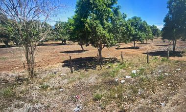 Terreno comercial en venta - (3)