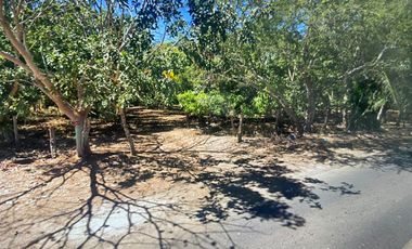 Terreno comercial en venta - (3)