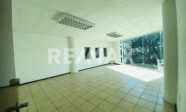 EDIFICIO COMERCIAL EN RENTA- TOLUCA Paseo Cristóbal Colón.  - (3)