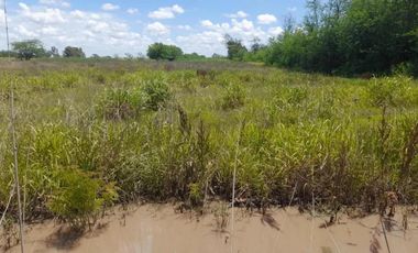 Terreno en venta - 10.000Mts2 - 9 de Julio