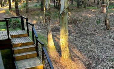 Casa en venta - 3 Dormitorios 2 Baños - Pinamar