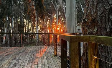 Casa en venta - 3 Dormitorios 2 Baños - Pinamar