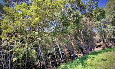 Venta Espectacular Lote Parcelacion Marinilla