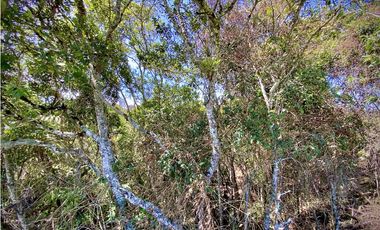 Venta Espectacular Lote Parcelacion Marinilla