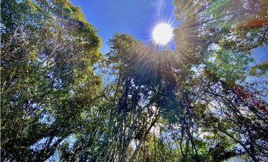 Venta Espectacular Lote Parcelacion Marinilla