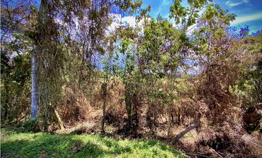 Venta Espectacular Lote Parcelacion Marinilla