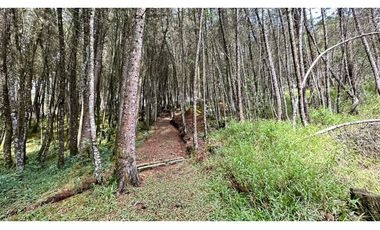 SE RENTA CABAÑA EN VEREDA LA MOSQUITA GUARNE
