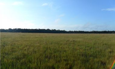 Venta finca en Vereda Mata Redonda en La Primavera Vichada