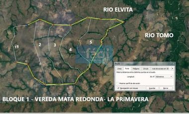 Venta finca en Vereda Mata Redonda en La Primavera Vichada
