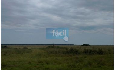 Venta finca en Vereda Mata Redonda en La Primavera Vichada