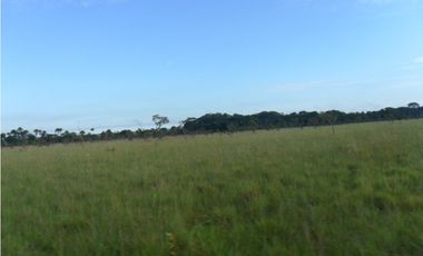 Venta finca en Vereda Mata Redonda en La Primavera Vichada