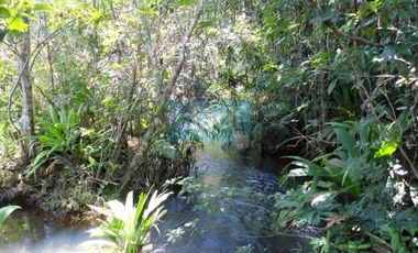 Venta finca en Vereda Mata Redonda en La Primavera Vichada
