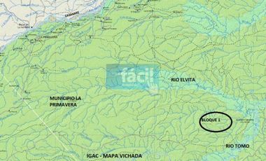 Venta finca en Vereda Mata Redonda en La Primavera Vichada