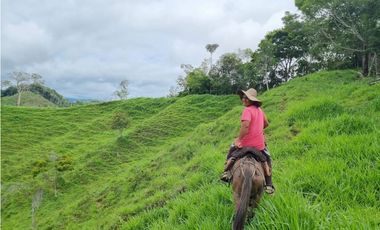 SE VENDE O PERMUTA  FINCA GANADERA EN CARACOLI - ANTIOQUIA
