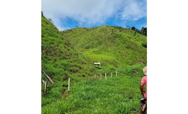 SE VENDE O PERMUTA  FINCA GANADERA EN CARACOLI - ANTIOQUIA